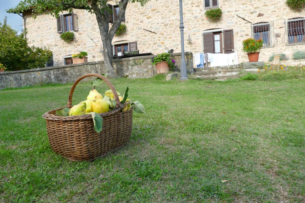 Agriturismo Braccicorti Pieve Fosciana Exterior photo